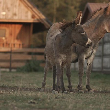Tatarska Zagroda - Agroturystyka Dolina Baryczy Noclegi - Domek Jelonek Кросніце Екстер'єр фото